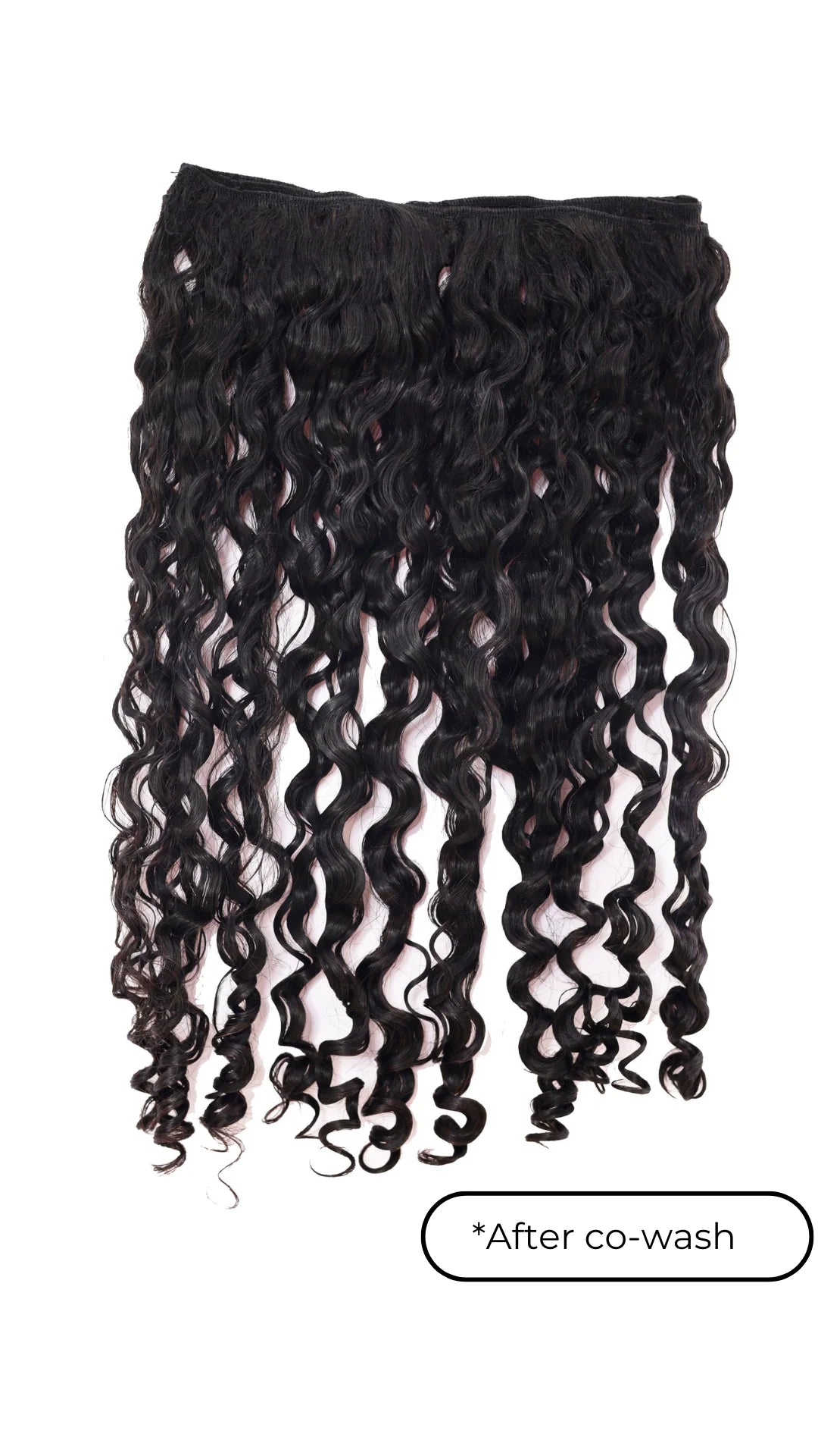 BurmeseLUXE Curly