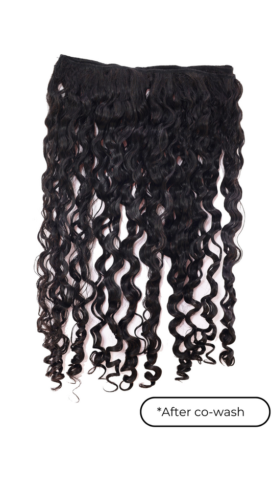 Burmese Curly